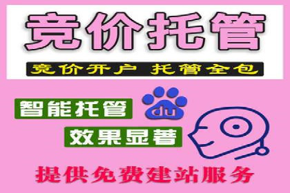 百度竞价账户托管运营的优化技巧与案例
